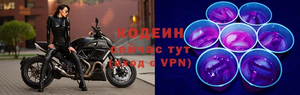 стаф Елабуга