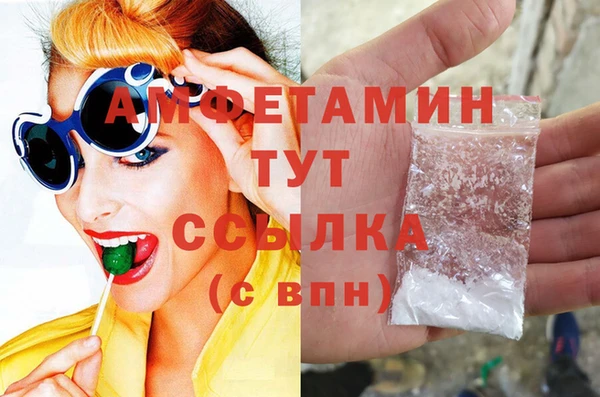 твердый Ельня