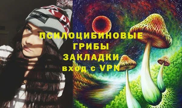 ECSTASY Дмитровск