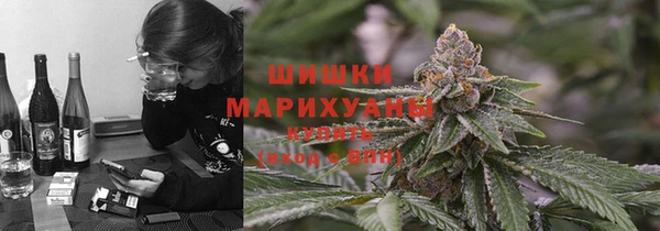 ECSTASY Дмитровск