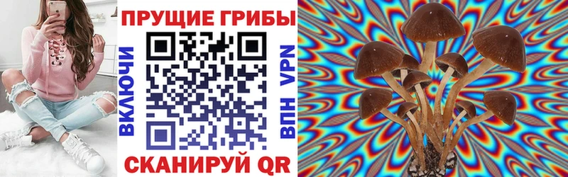 Галлюциногенные грибы прущие грибы  Конаково 
